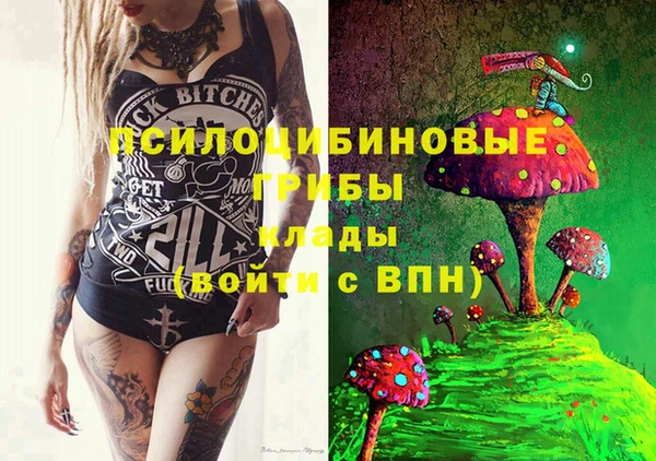 apvp Нягань