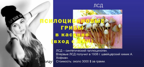 apvp Нягань