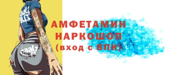 винт Няндома