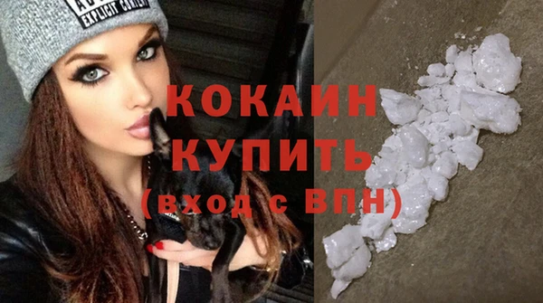винт Няндома