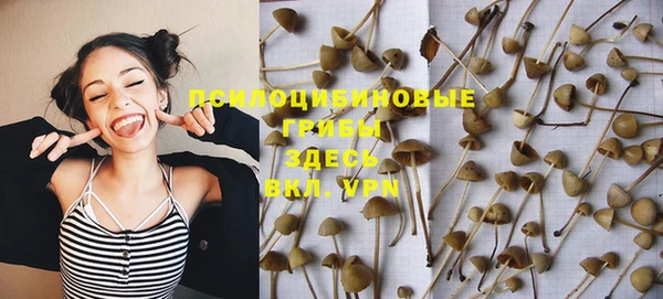 винт Няндома